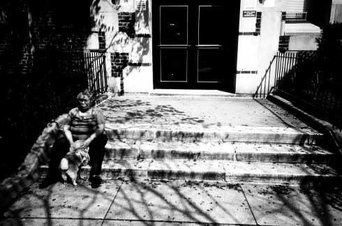 doggie rufus mangrove 