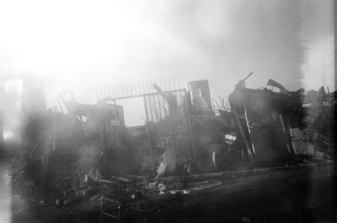 After Sandy Rufus Mangrove 