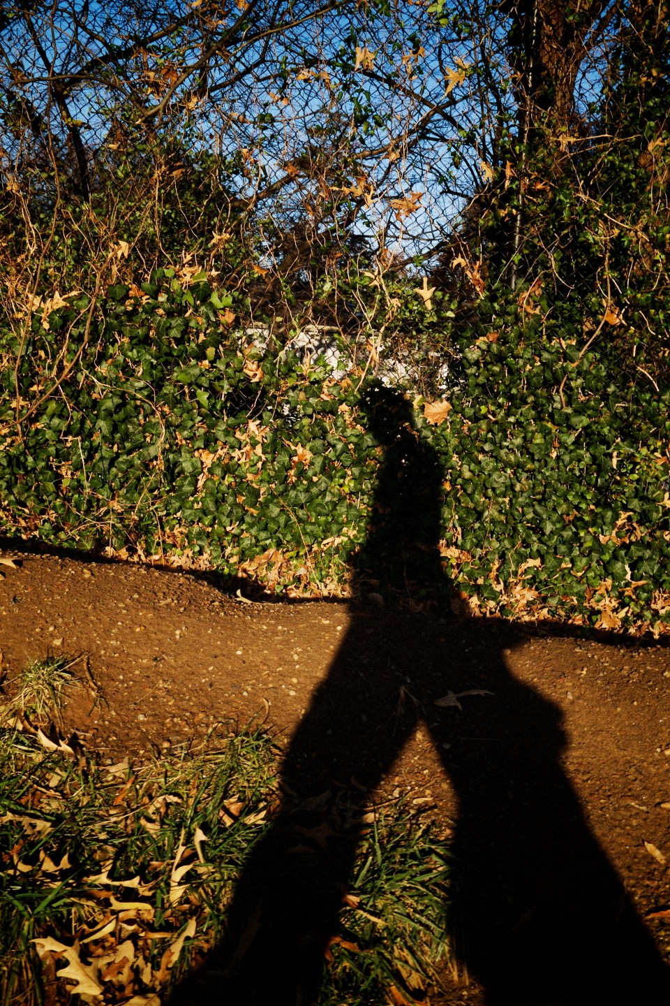 I won't catch a grenade for you by Rufus Mangrove