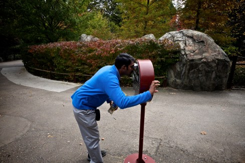 You all ready for this by rufus mangrove