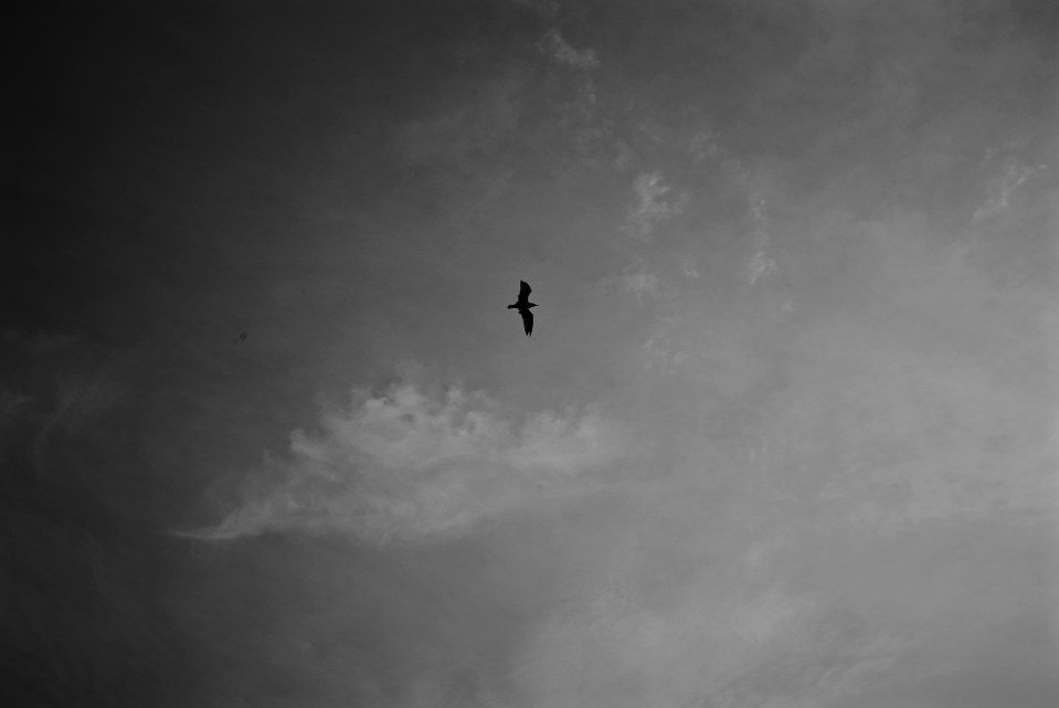 sleeping ute by rufus mangrove copyrighted material