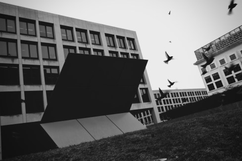 satellite by rufus mangrove copyrighted material